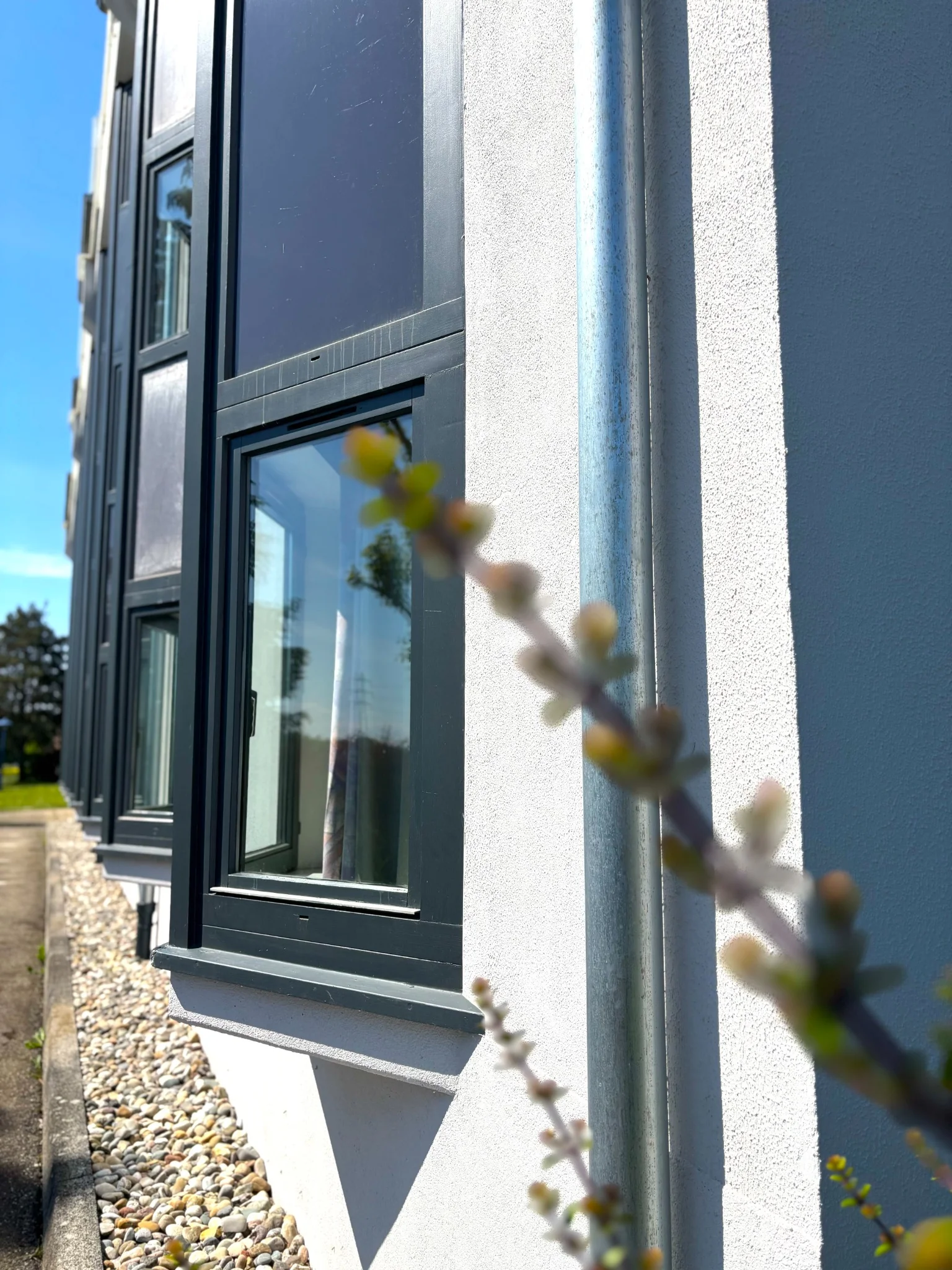 Alignement des fenêtres sombres et façade claire